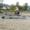 Babie Lato 2016